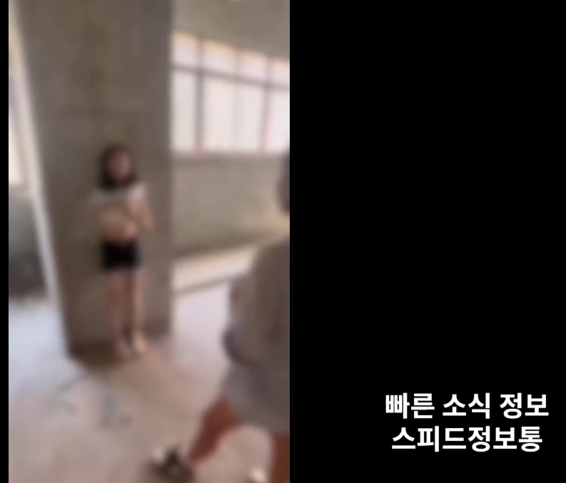 중국 반정부시위
